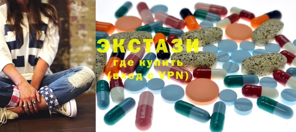 мдпв Гусев