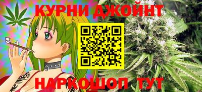 гашик Ливны
