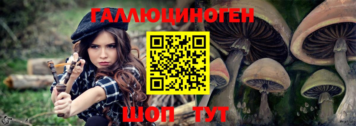 Старый Оскол  Псилоцибиновые грибы Cubensis  Вход с VPN  Галлюциногенные грибы GOLDEN TEACHER 